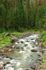 Mountain Stream, Wyoming